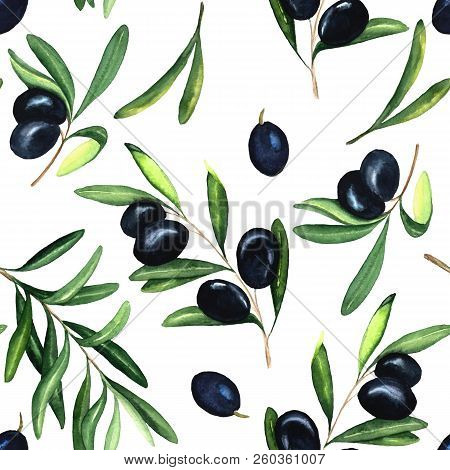Watercolor Seamless Pattern With Black Olives And Braunches