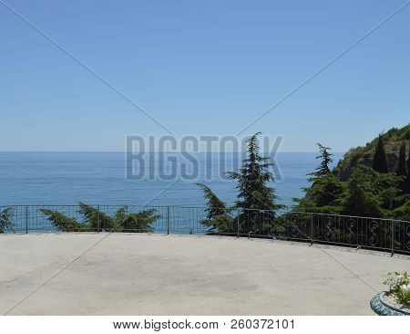 Top View Of The Sea And The Tops Of Cypresses In The Park On A Sunny Day