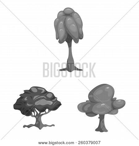 Isolated Object Of Tree And Nature Icon. Set Of Tree And Crown Vector Icon For Stock.