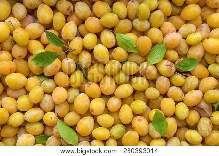 Bunch Of Ripped Yellow Plums. Together With Green Leaves.