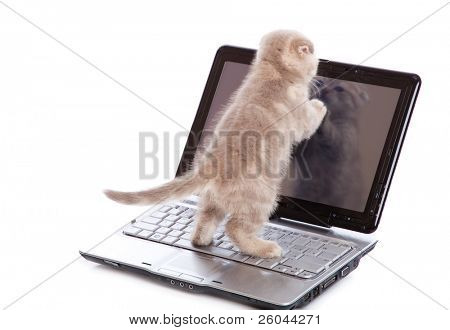 Små sjove killing på laptop. Isoleret på hvid baggrund