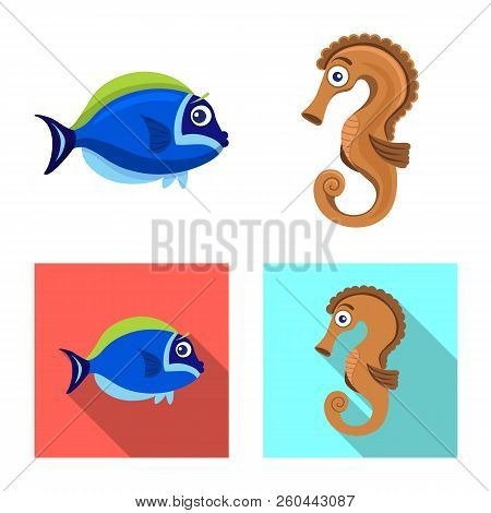 Vector Illustration Of Sea And Animal Sign. Collection Of Sea And Marine Stock Symbol For Web.