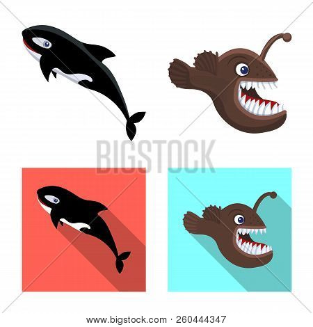Vector Design Of Sea And Animal Icon. Set Of Sea And Marine Vector Icon For Stock.