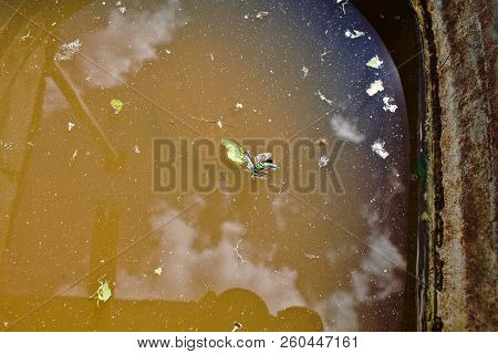 Rusty Zinc Tank With Dirty Water And Drowned Insects