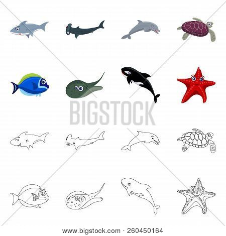 Vector Illustration Of Sea And Animal Sign. Set Of Sea And Marine Stock Vector Illustration.
