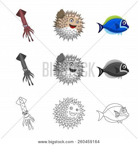 Isolated Object Of Sea And Animal Sign. Set Of Sea And Marine Stock Vector Illustration.