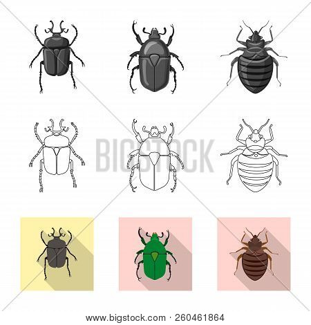 Vector Design Of Insect And Fly Icon. Collection Of Insect And Element Vector Icon For Stock.