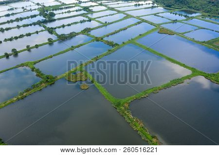 Top view Fish hatchery pond