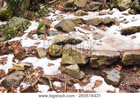 Autumn Nature With Rocks And Leaves In Troodos Mountains In Cyprus