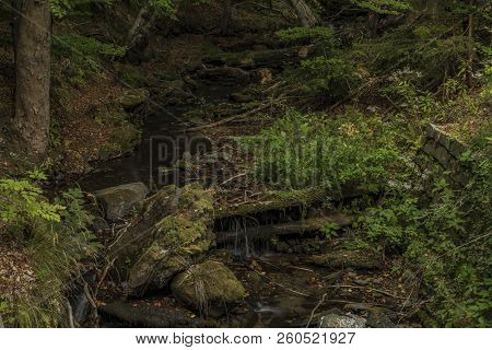 Creek In Kouty Nad Desnou Village In Summer Day In Moravia Region