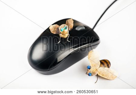Handmade Bee Acorn Table Computer Mouse Studio