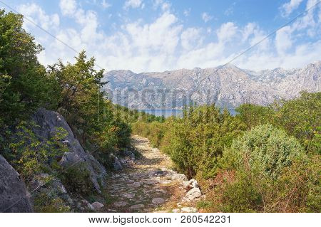 Summer Mountain Landscape With An Ancient Cobblestone Road Descending To The Sea.  Montenegro, Vrmac