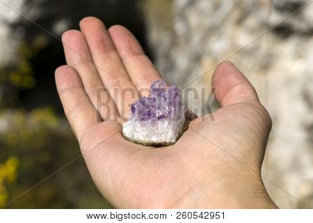Druse Of Natural Untreated Violet Crystals Of Amethyst On A Piece Of Rock Lies On The Palm Of Your H