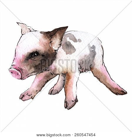 Pink Pig Wild Animal In A Watercolor Style Isolated.
