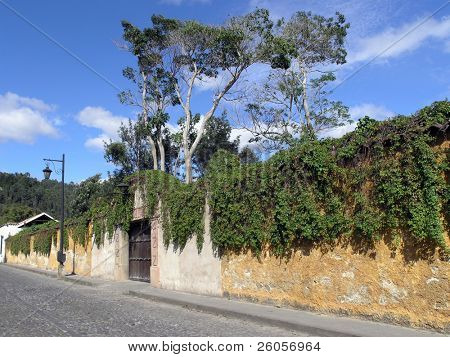 Antiguan street