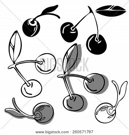 Vector Design With Stylized Image Of Cherry. In Black And White Style. Can Be Used For Printing On P