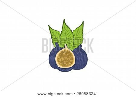Pomegranate Logo Designs Inspiration, Vector Illustration Isplated