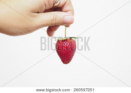 Pick Up The Strawberry On White Background.