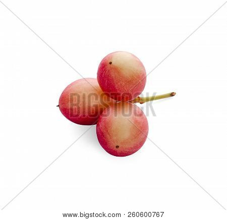 Carissa Carandas Linn,karanda, Carunda Isolated On White Background