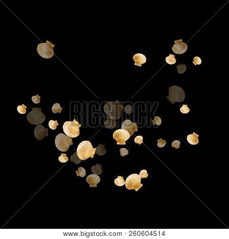 Gold Seashells Vector, Golden Pearl Bivalved Mollusks. Cute Scallop, Bivalve Pearl Shell, Marine Mol