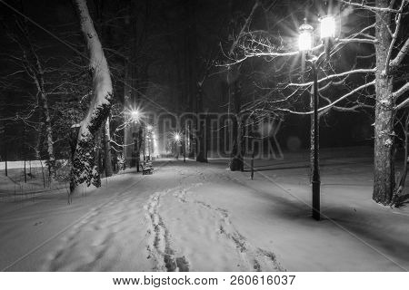 Illuminated Park Alley In Winter. Kuznice. Zakopane. Tatry.