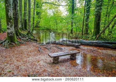 Isolated Wooden Bench In A Forest In Autumn, Plitvice Parks, Croatia