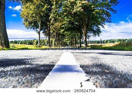 Closeup Of Entral Strip Of Avenue With Trees In Germany