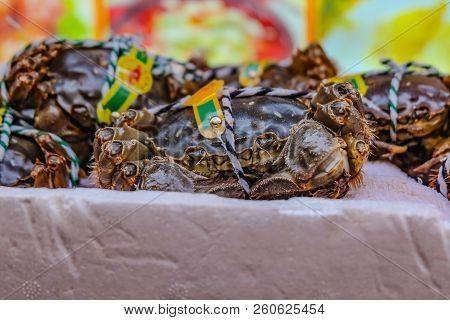 Close Up Chinese Mitten Crab Or Shanghai Hairy Crab In Front Of Chinese Restaurant In Shang Hai City