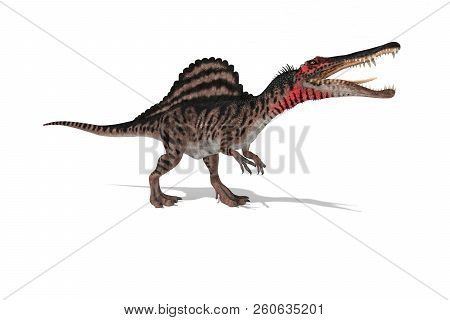 Spinosaurus Set Of Angles On A White Background 3d Illustration