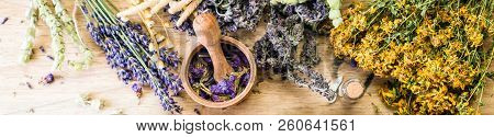 Harvesting Medicinal Herbs, Dry Flowers, Non-traditional Medicine, Ayurveda
