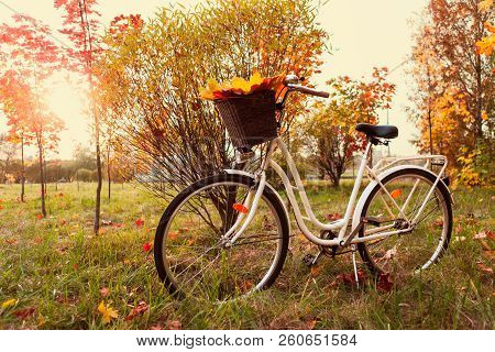 White Retro Style Bicycle With Basket With Orange, Yellow And Green Leaves, Parked In The Colorful F