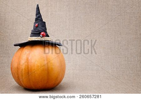 Witch's Hat Put On Pumpkin In The Background Of Burlap.