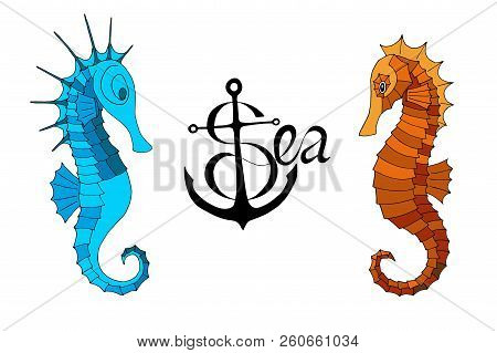 Two Seahorses And A Calligraphic Inscription With Anchor