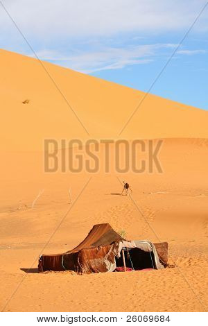 Nomad (Berber) teltet i Sahara, Marokko
