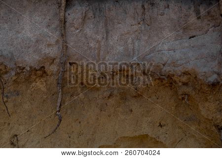 Layers Of Podzol Soil