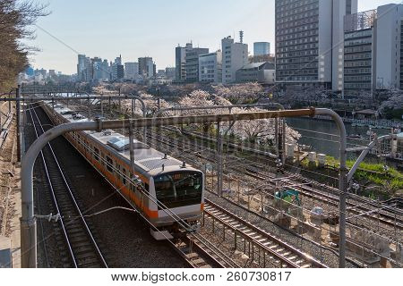 Cherry Blossom Around Sotobori Park, Tokyo, Japan.
Sotobori Park Is Famous Cherry Blossoms Spot That