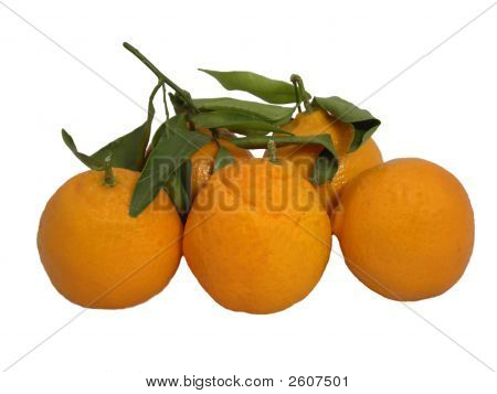 Mandarin