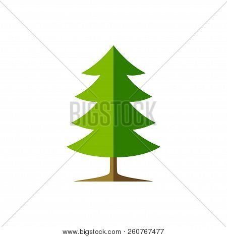 Simple Spruce Tree Illustration Vector Symbol Graphic Logo Design Template