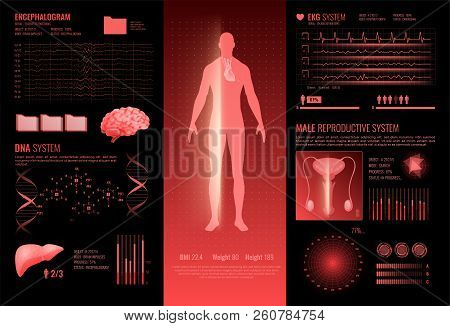 Medical Hud Interface Infographics Layout With Ekg Dna Encephalography Male Reproductive Information