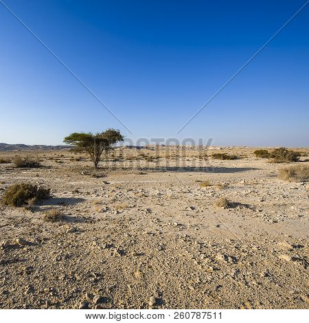 Rocky Hills Of The Negev Desert In Israel. Breathtaking Landscape And Nature Of The Middle East.