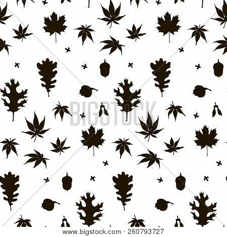 Maple, Oak, Japanese Maple Leaves, Fruits Monochrome Seamless Background, With Black Silhouette On W