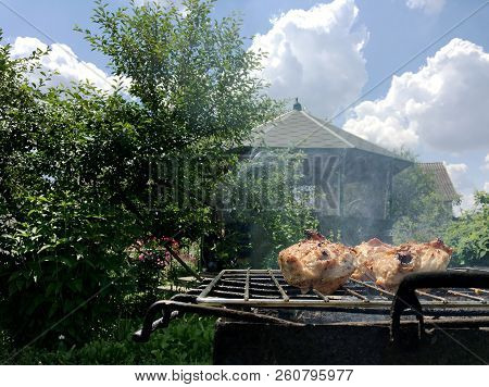 Beautiful Tasty Food From Slice Grilled Chicken Meats, Roast On Metal Brazier. Meat Of Bird With Cri