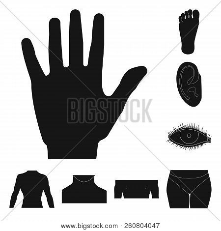 Vector Illustration Of Human And Part Sign. Collection Of Human And Woman Vector Icon For Stock.