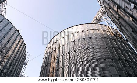 Metal Agriculture Storage Silos. Up View. Clear Blue Sky Background.