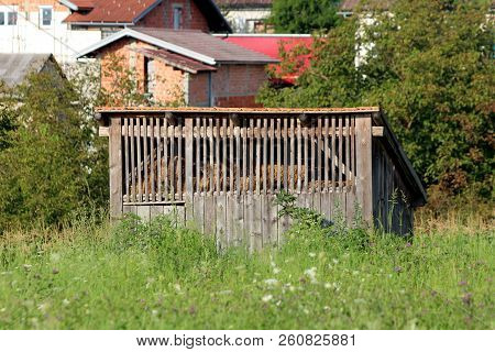 Wooden Backyard Shed With Partially Open Part Filled With Hay Bales Surrounded With High Uncut Grass