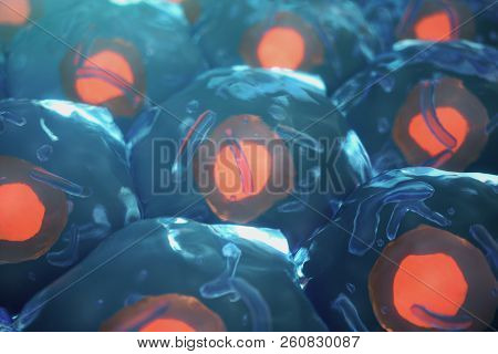 3d Illustration Human Cells. Cell Colony. Concept Of Science And Medicine, The Regeneration Of Cells