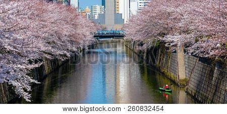 Meguro, Tokyo, Japan - March 25, 2018: Cherry Blossom Season In Tokyo At Meguro River, Japan.