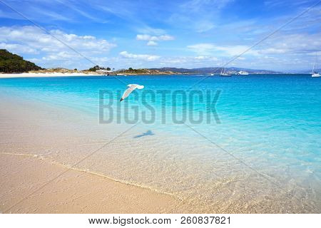 Praia de Rodas beach in islas Cies island of Vigo at Spain