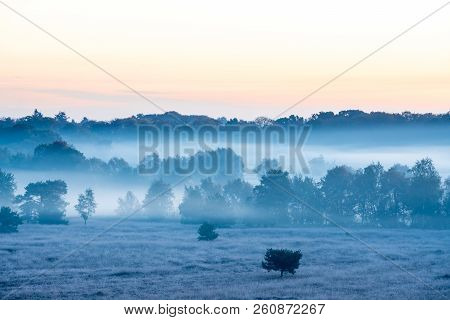 On A Misty Morning In The Kalmhoutse Heather Park Near Antwerp