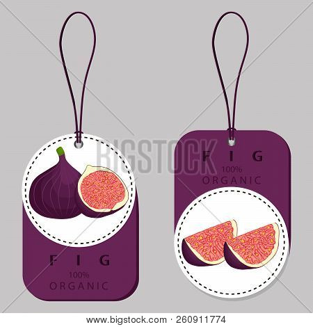 Vector Icon Illustration Logo For Whole Ripe Fruit Purple Fig, Slice Half Sycamine. Fig Pattern Cons